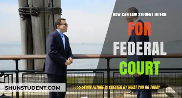 Federal Court Internships: A Guide for Law Students