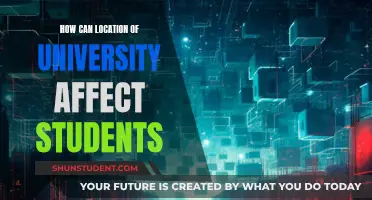 University Location Impacts: Student Experience and Future Prospects