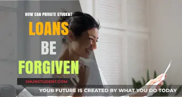 Private Student Loan Forgiveness: Strategies to Erase Your Debt Burden