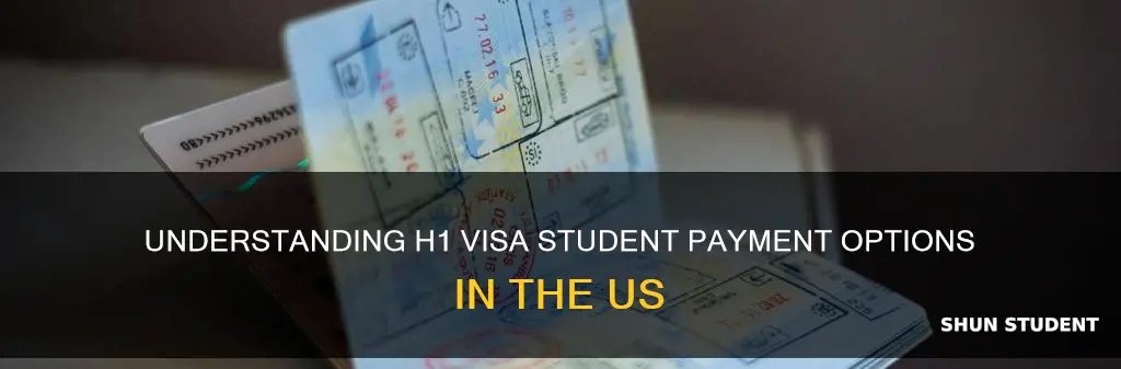 how can student on h1 visa be payed in usa