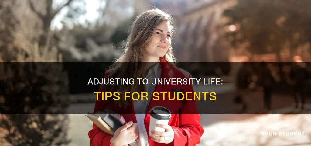 how can students adjust to university life