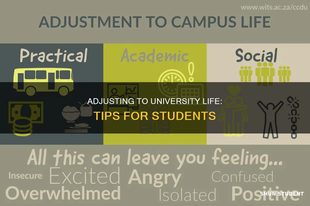 how can students adjust to university life