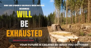 Calculating Natural Resource Depletion: A Guide for Students