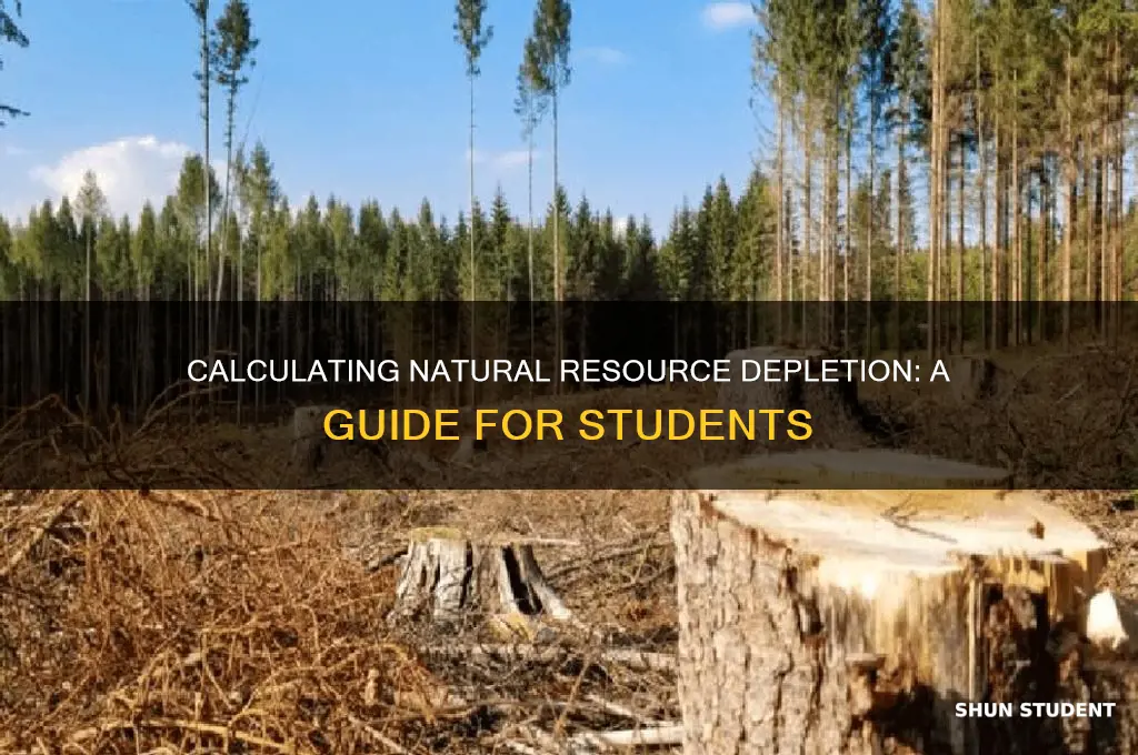 how can students calculate when natural resources will be exhausted