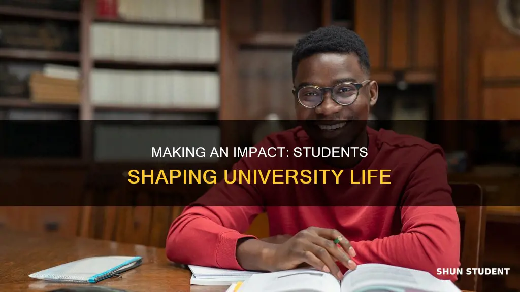 how can students make an impact on the university