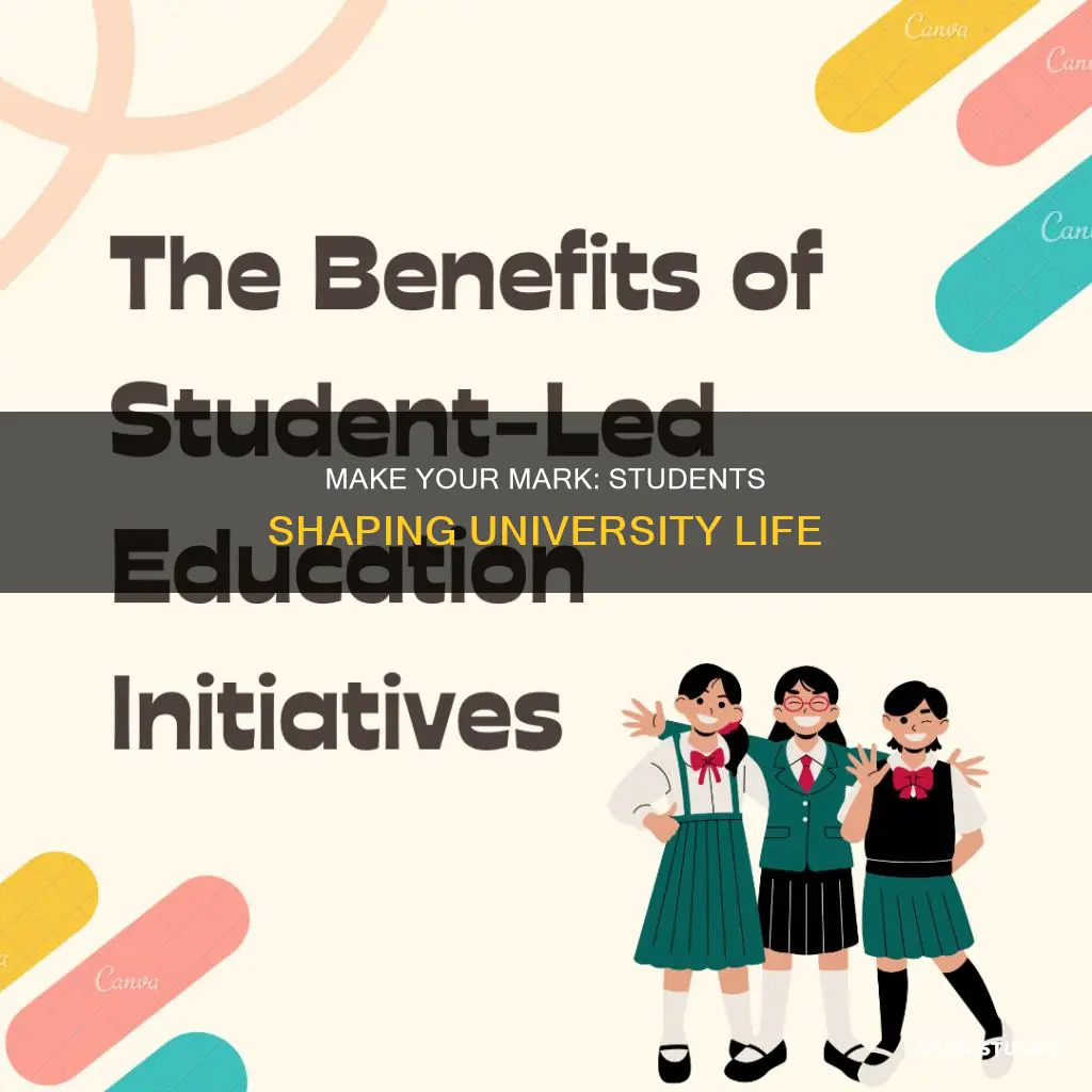 how can students make an impact on the university