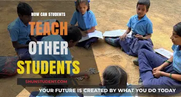 Peer Learning Power: How Students Can Teach and Empower Each Other