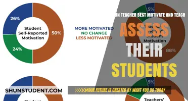 Effective Strategies for Motivating, Teaching, and Assessing Students Successfully