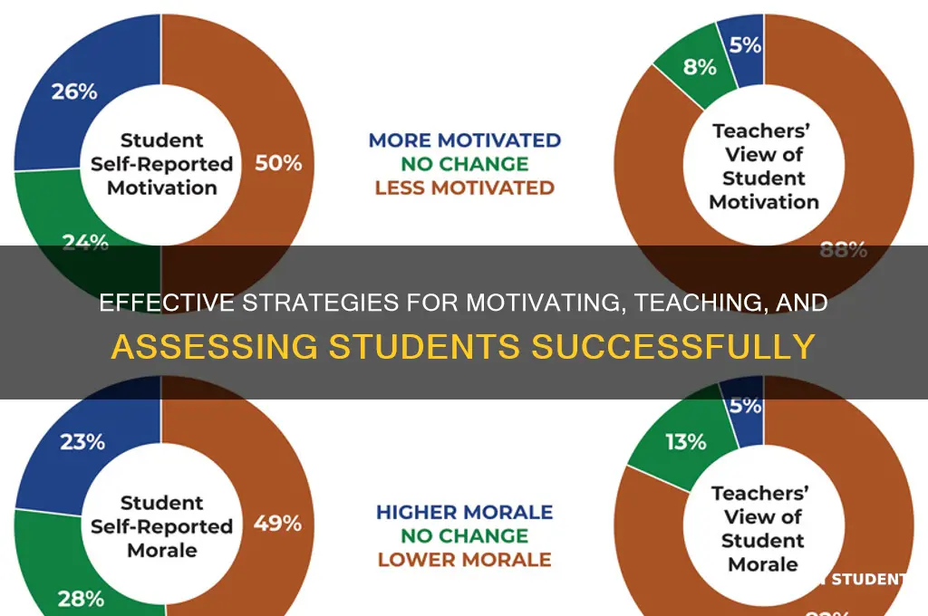 how can teacher best motivate and teach assess their students