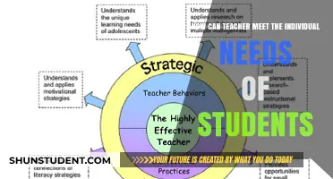 Tailoring Teaching Strategies to Meet Diverse Student Needs Effectively