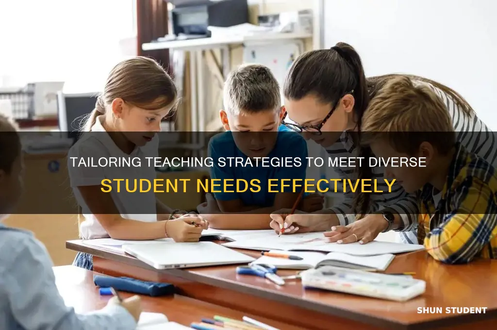 how can teacher meet the individual needs of students