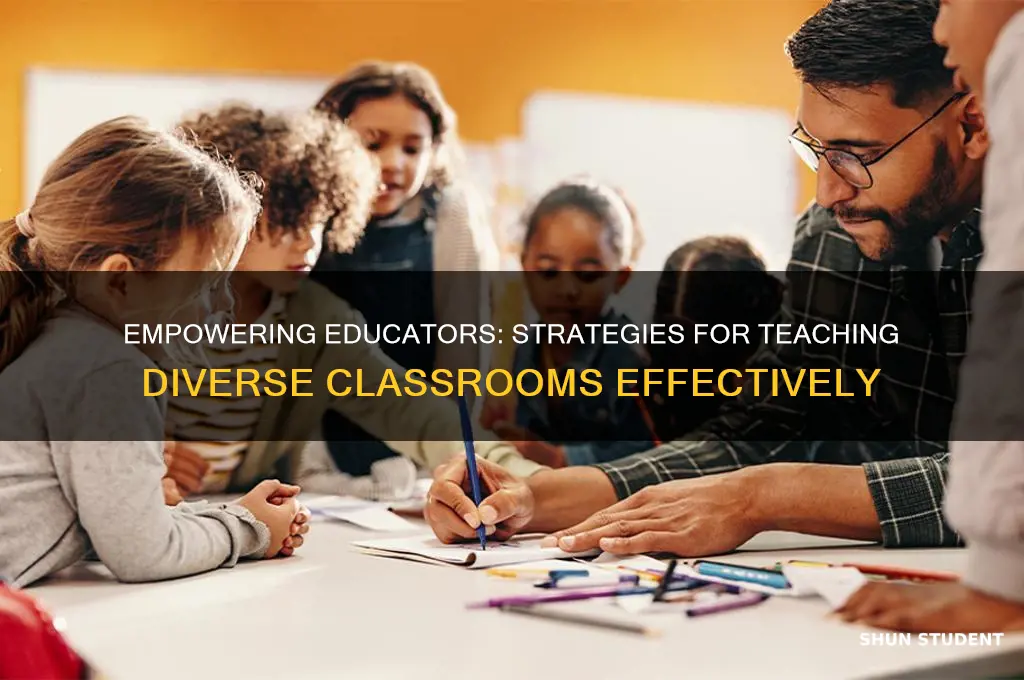 how can teachers teach diverse students