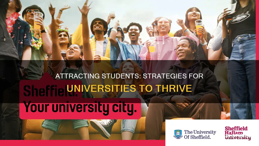 how can universities attract more students