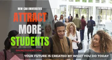Attracting Students: Strategies for Universities to Implement