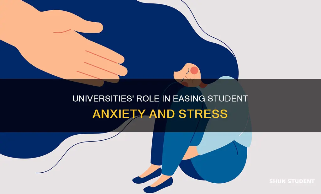 how can universities help anxiety in college students