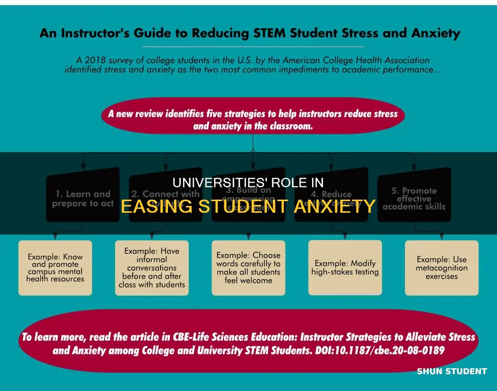 how can universities help anxiety in college students