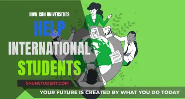 Universities' Support for International Students: A Comprehensive Guide