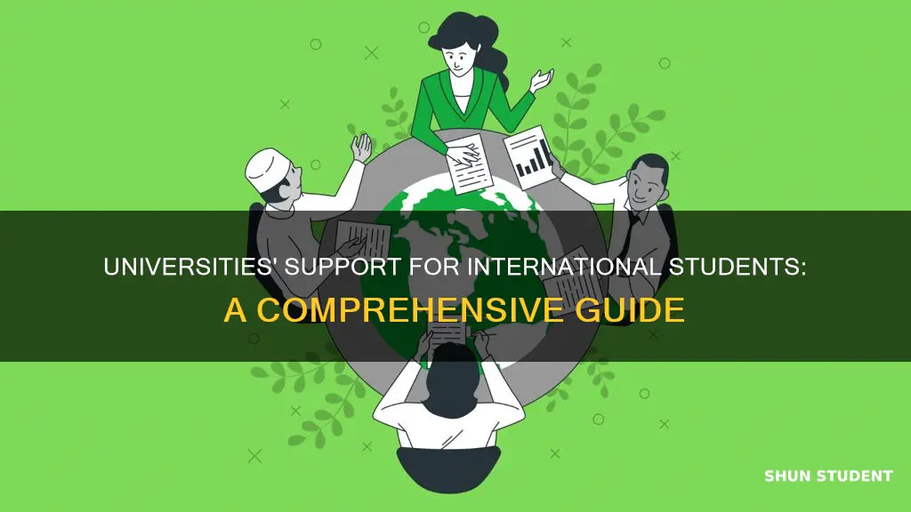 how can universities help international students