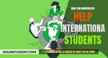 Universities' Support for International Students: Key Strategies