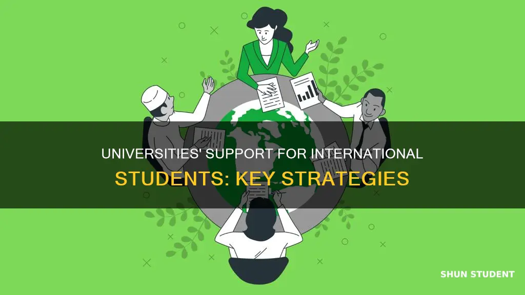 how can universities help international students