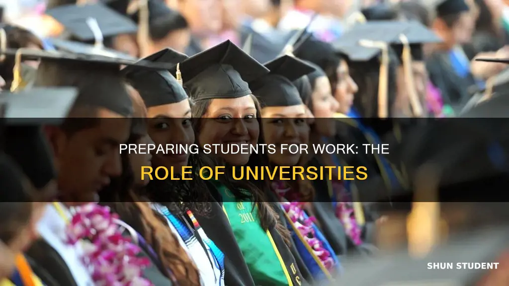 how can universities prepare students for work