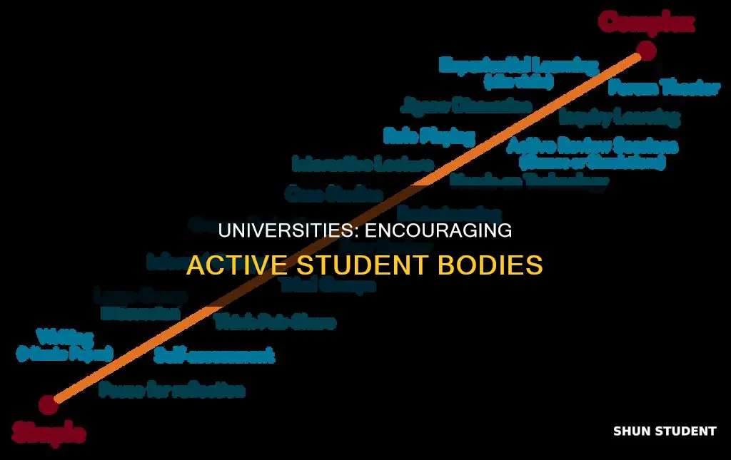 how can universities promote more physcial activity amongst students