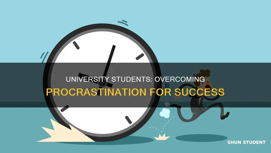 how can university students avoid procrastination