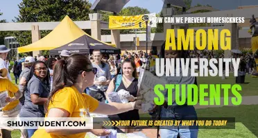 Combating Homesickness: Strategies for University Students