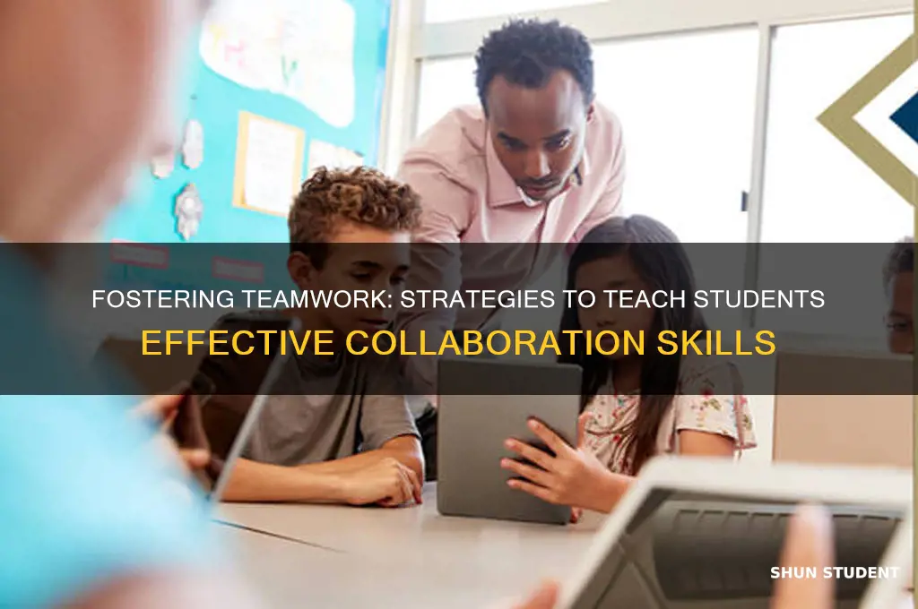 how can we teach students to be good collaborators