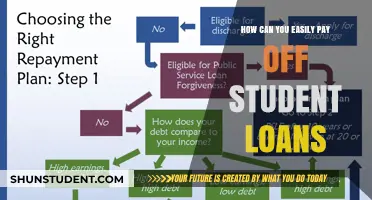 Strategies to Repay Student Loans Efficiently