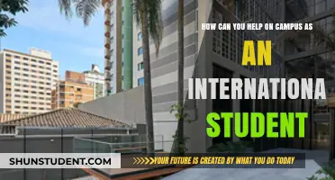 Helping Hands: International Students' Campus Support