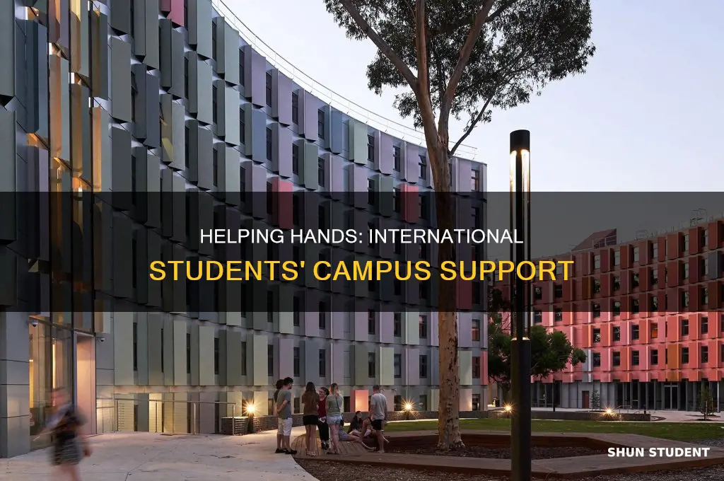 how can you help on campus as an international student
