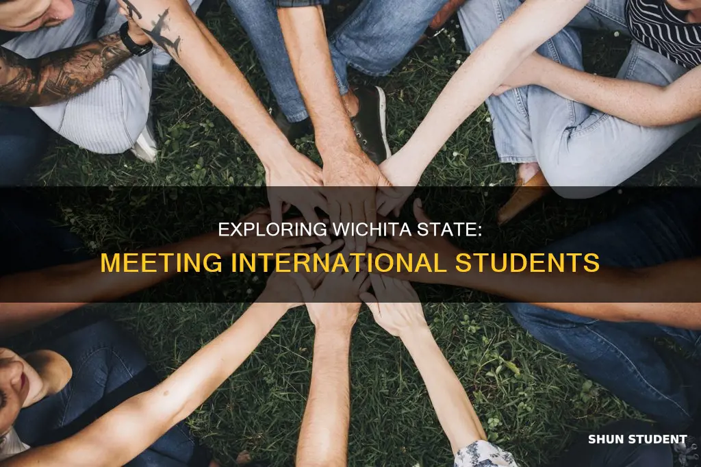 how can you meet international students at wichita state university