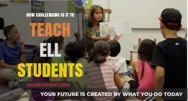 Teaching ELL Students: Navigating Challenges and Fostering Language Success