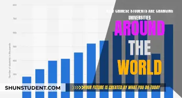 Chinese Students' Impact on Global Universities