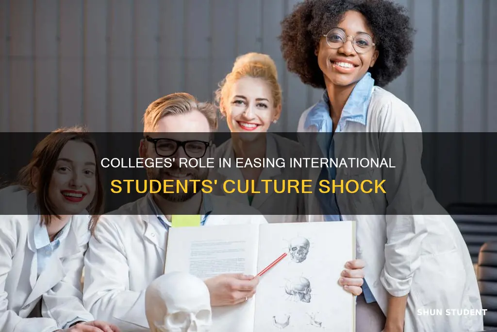 how colleges can help international students and culture shock