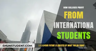 International Students: Colleges' Money-Making Secret