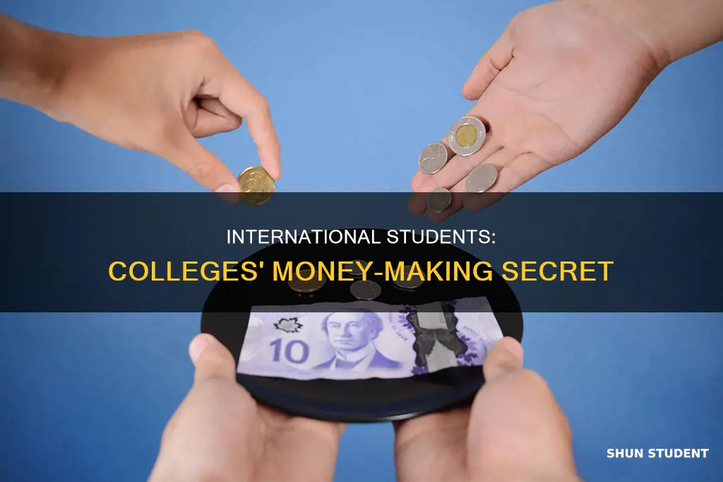 how colleges profit from international students