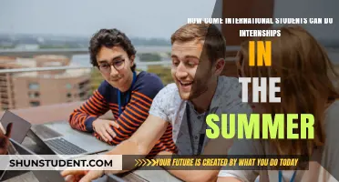 Summer Internships: A Global Student Opportunity
