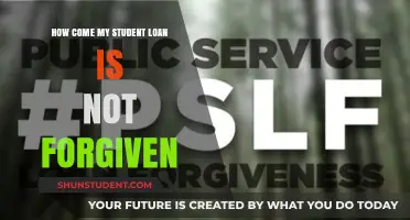 Why Your Student Loan Forgiveness Isn't Happening: Key Reasons Explained