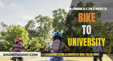 Biking to University: Student Transportation Trends and Insights