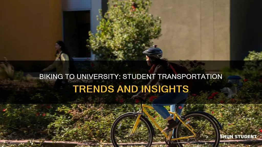 how common is it for students to bike to university