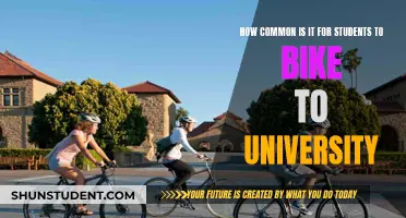 Students Biking to University: A Common Practice?