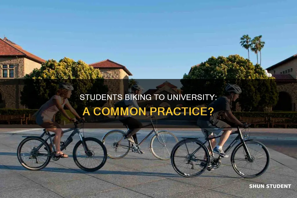 how common is it for students to bike to university