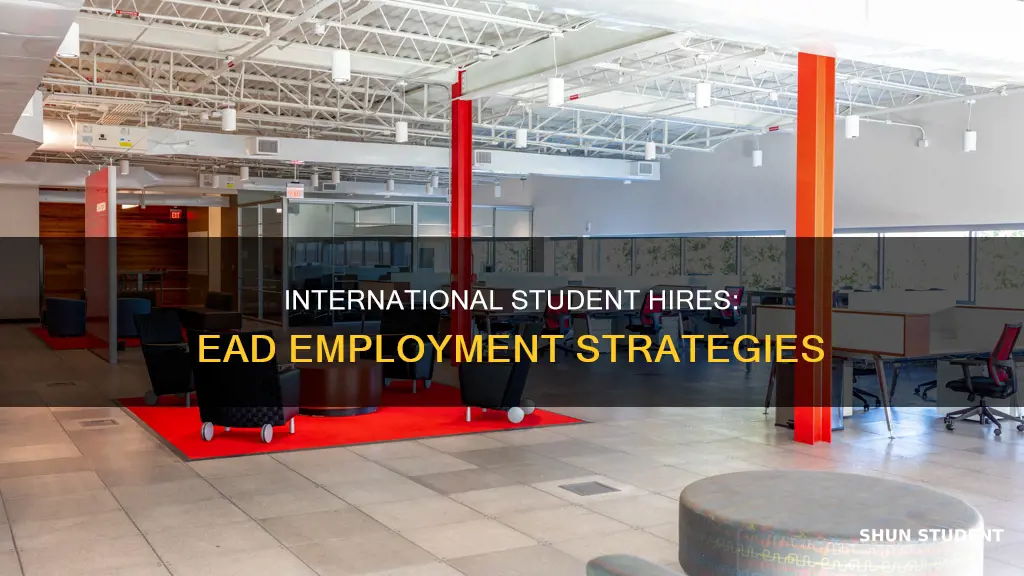 how company hire international student ead
