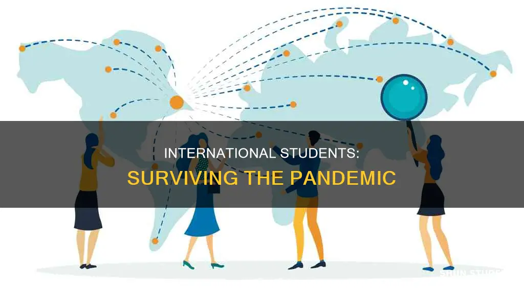 how covid affects international students