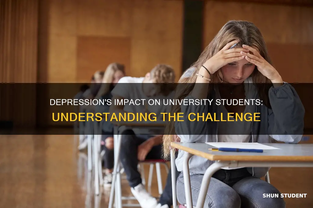 how depression affects university students