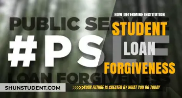 Navigating Student Loan Forgiveness: A Guide for Institutional Borrowers