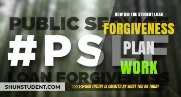 Understanding the Student Loan Forgiveness Plan: How It Worked