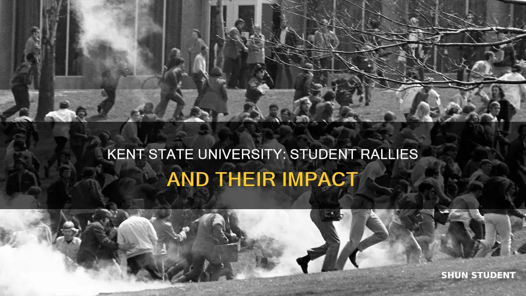 how did the students organize rallies kent state university